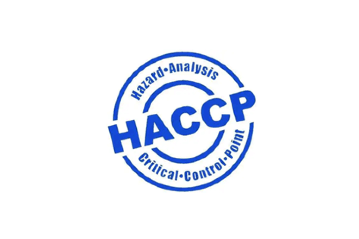 logo-1